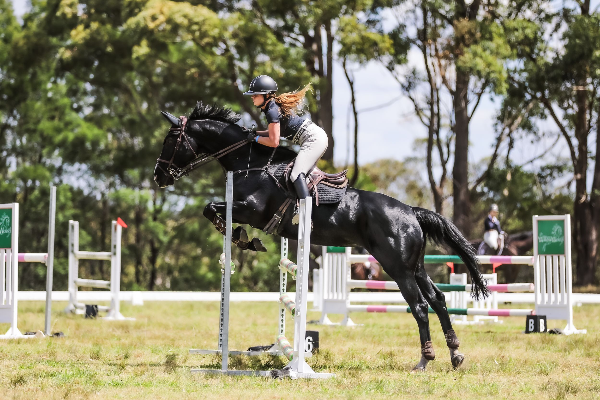 Equestrian photography.