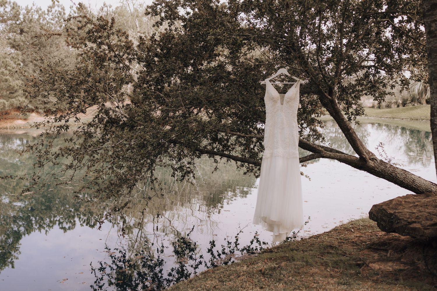 A white wedding dress hangs from a tree branch over a reflective pond.