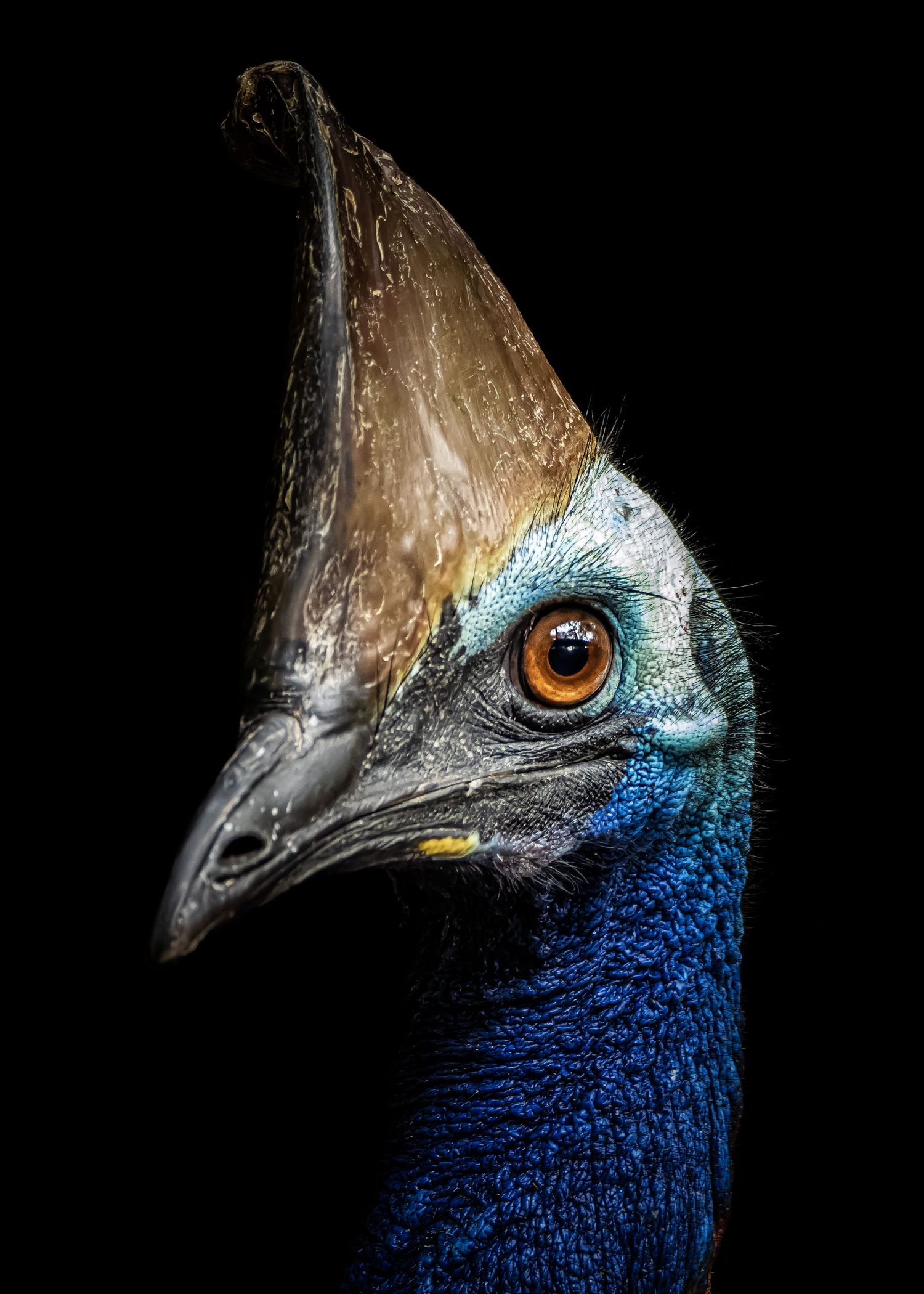 John Peters Photography