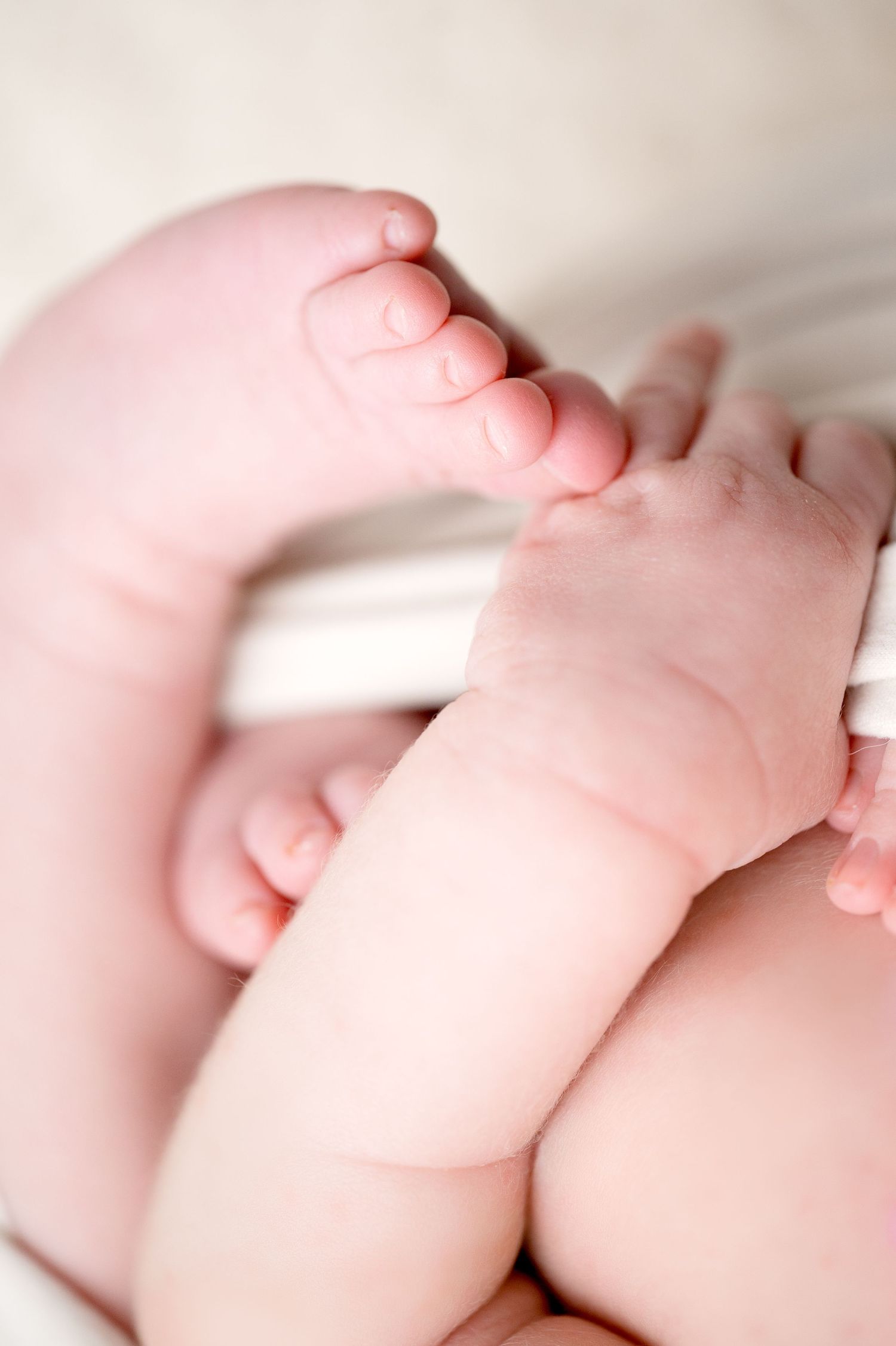 Delicate baby feet and toes photographed with shallow depth of field.
