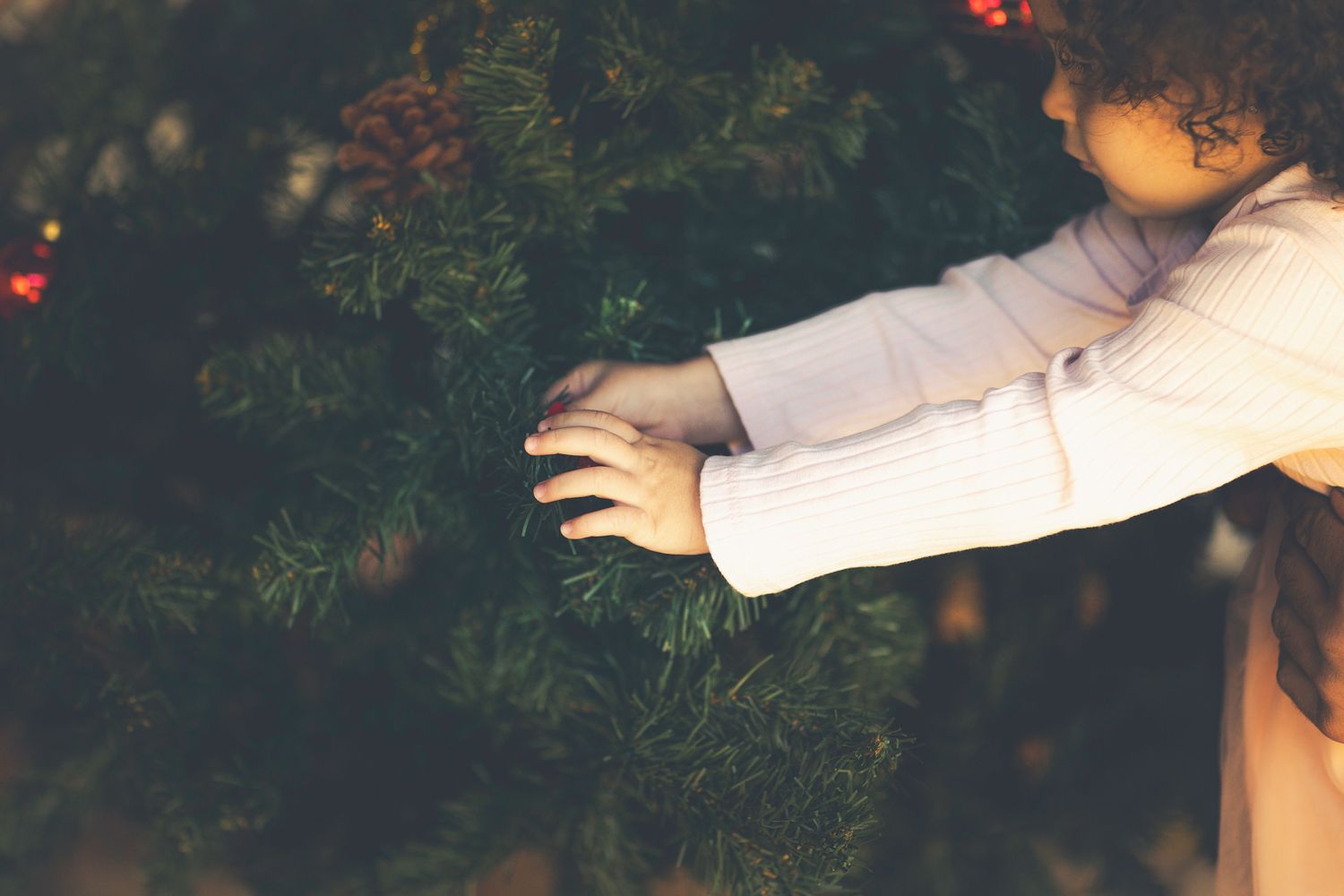 Lara está decorando el árbol de Navidad.