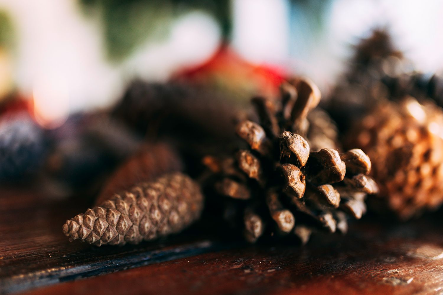 Pine cone decoration for Christmas