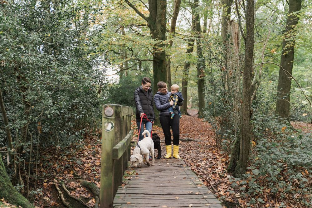 photograph of same sex couple with dog walking over bridge in woodland