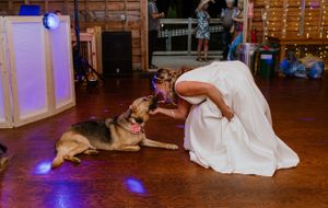 Healy Farms Wedding, Kentville Nova Scotia - Annapolis Valley + Halifax Photographer