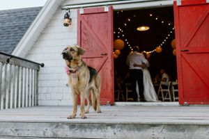 Healy Farms Wedding, Kentville Nova Scotia - Annapolis Valley + Halifax Photographer