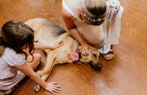 Healy Farms Wedding, Kentville Nova Scotia - Annapolis Valley + Halifax Photographer