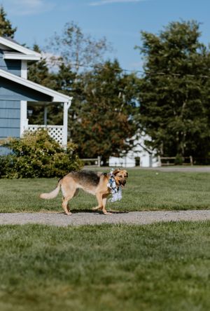 Healy Farms Wedding, Kentville Nova Scotia - Annapolis Valley + Halifax Photographer