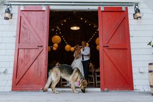 Healy Farms Wedding, Kentville Nova Scotia - Annapolis Valley + Halifax Photographer