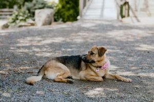 Healy Farms Wedding, Kentville Nova Scotia - Annapolis Valley + Halifax Photographer