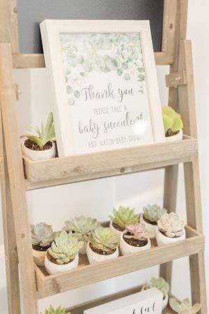 Rustic ladder shelf decorated with small succulents and a 'Thank You' sign in white frame.