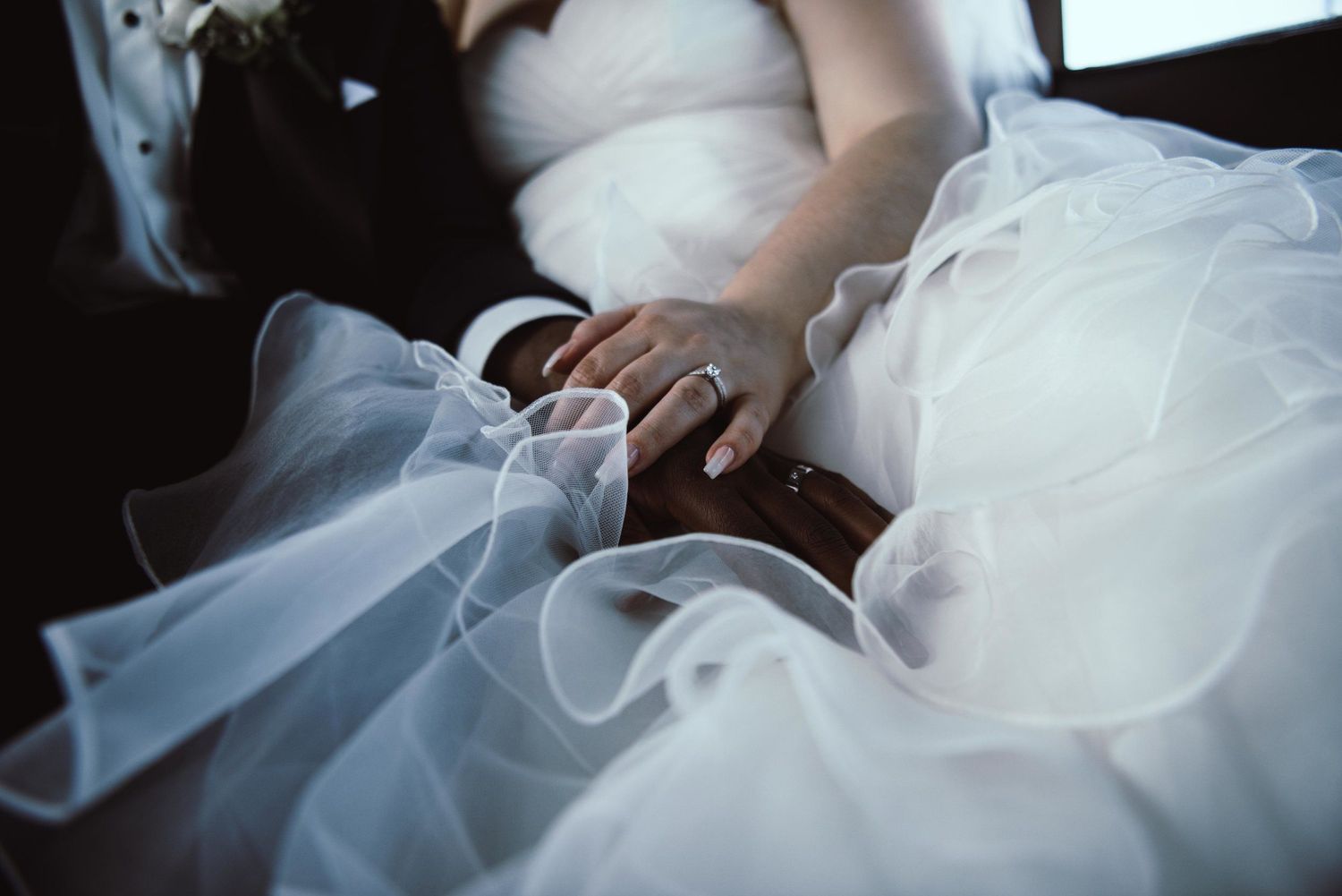 Investment Celeste Cole Photography