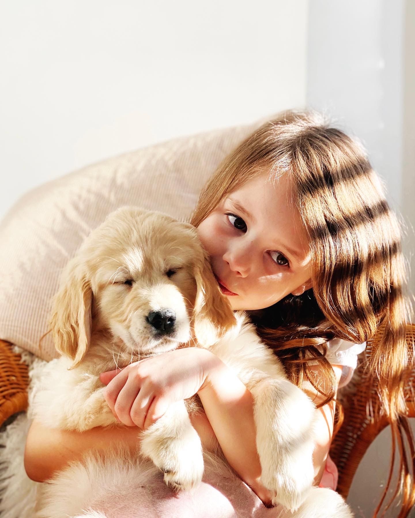 Young girl holding a golden retriever puppy, captured in a warm natural in-home portrait session in Portland, Dorset