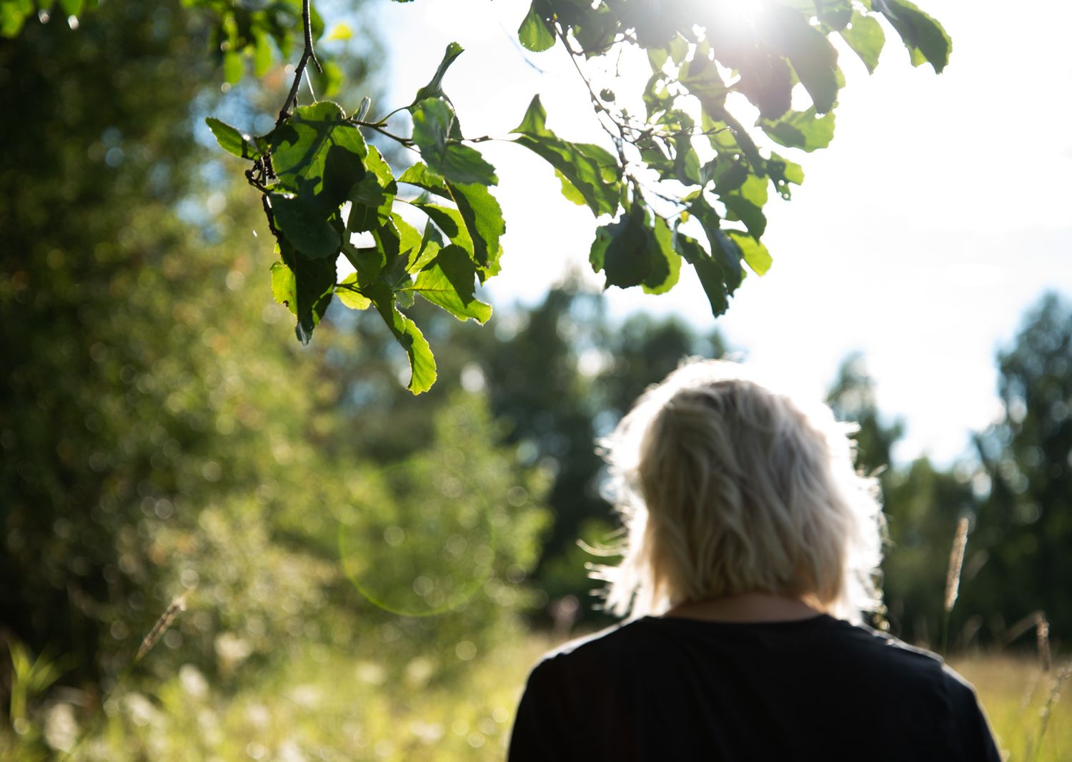 Naturen som studio