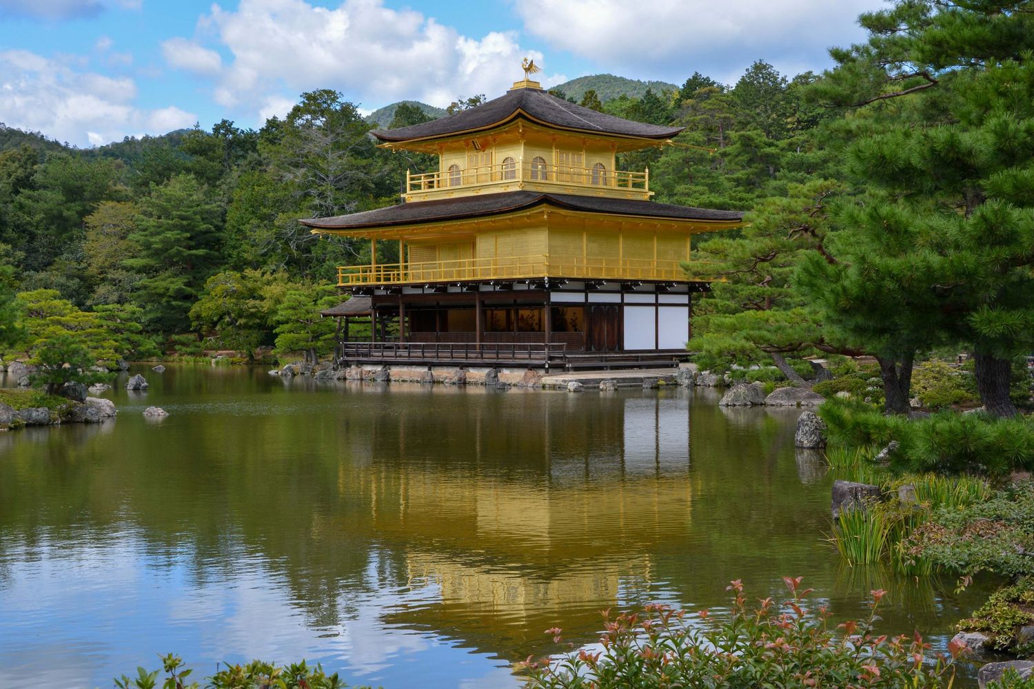 Golden Kinkaku-ji temple reflects in a serene pond surrounded by green trees.