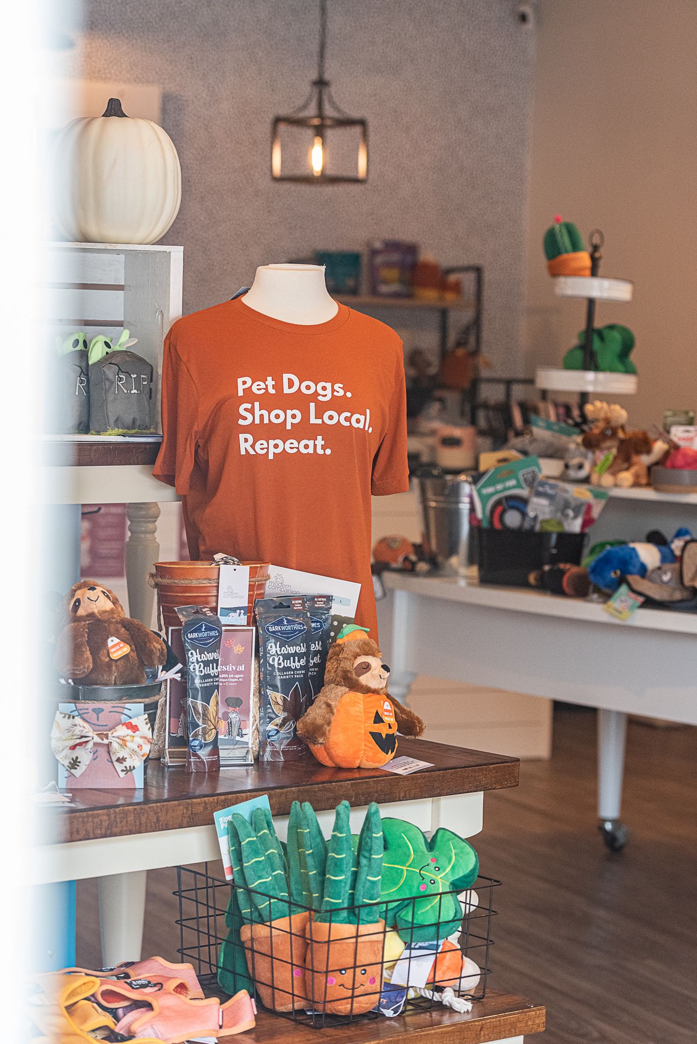 Entryway of Modern Companion pet boutique in Chapin, SC. Photographed by SC dog photographer.
