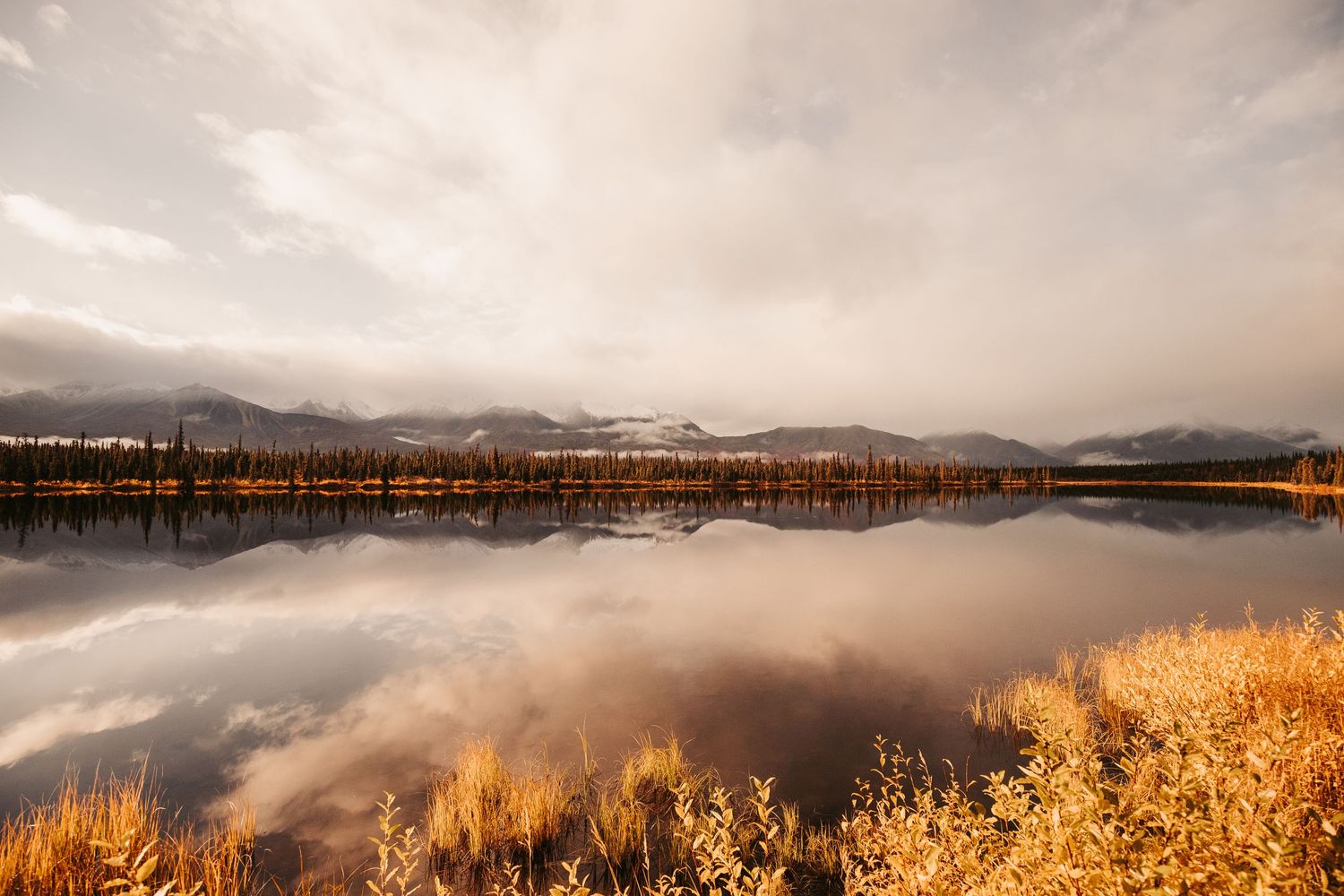 Denali National Park, Alaska