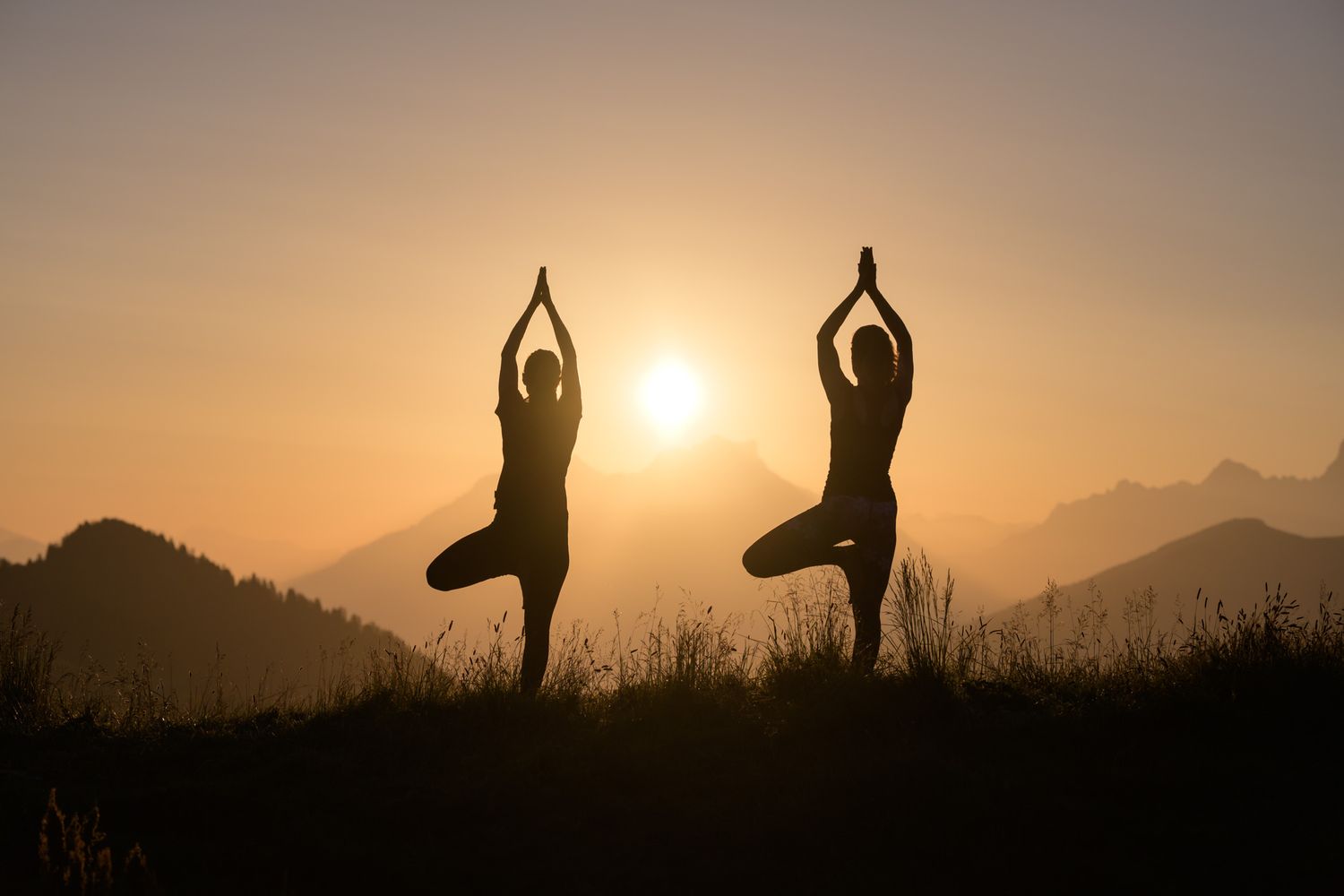 yoga model