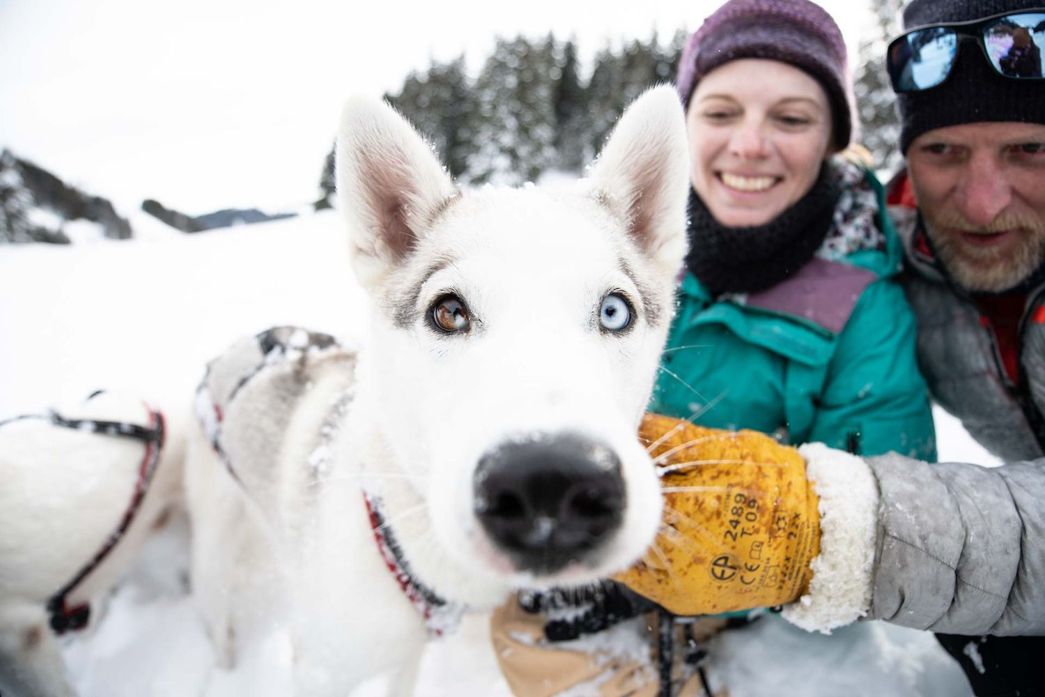 outdoor model winter