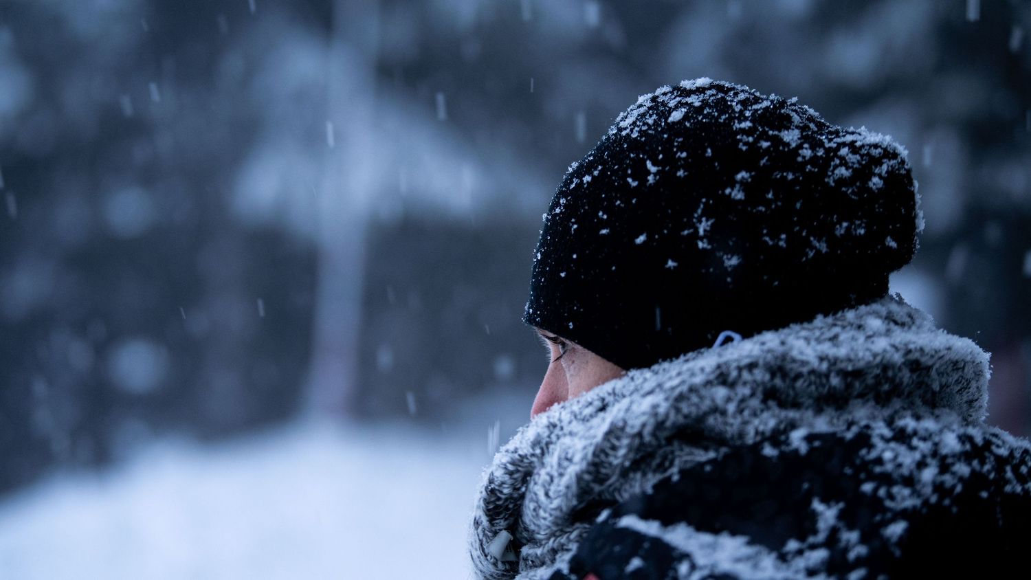 outdoor model winter