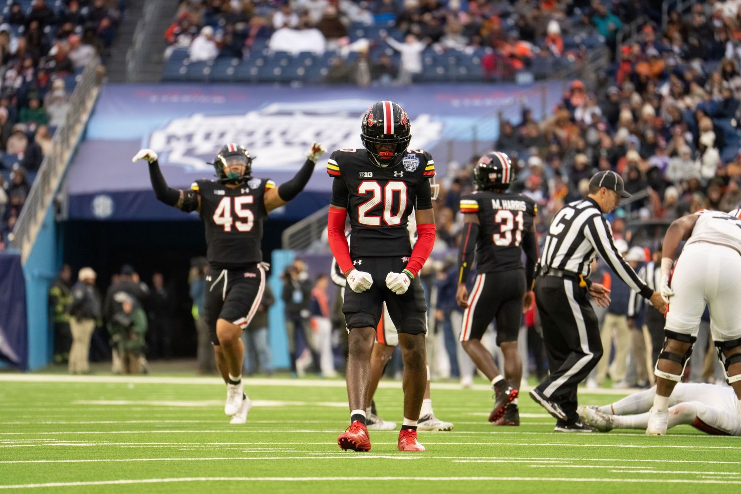 Football players and officials on field during a professional game.