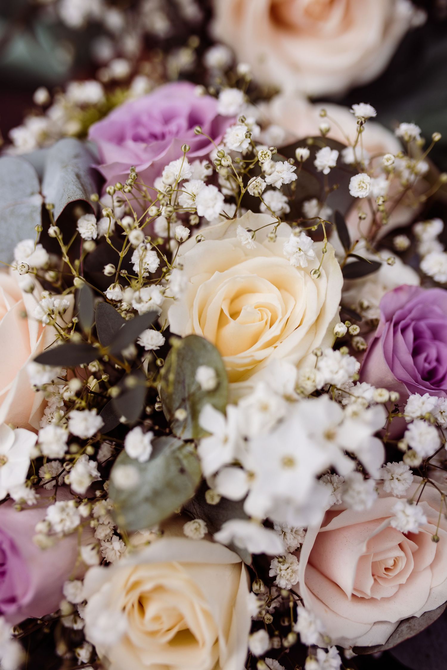Close-up of romantic wedding bouquet with cream and lavender roses mixed with baby's breath.