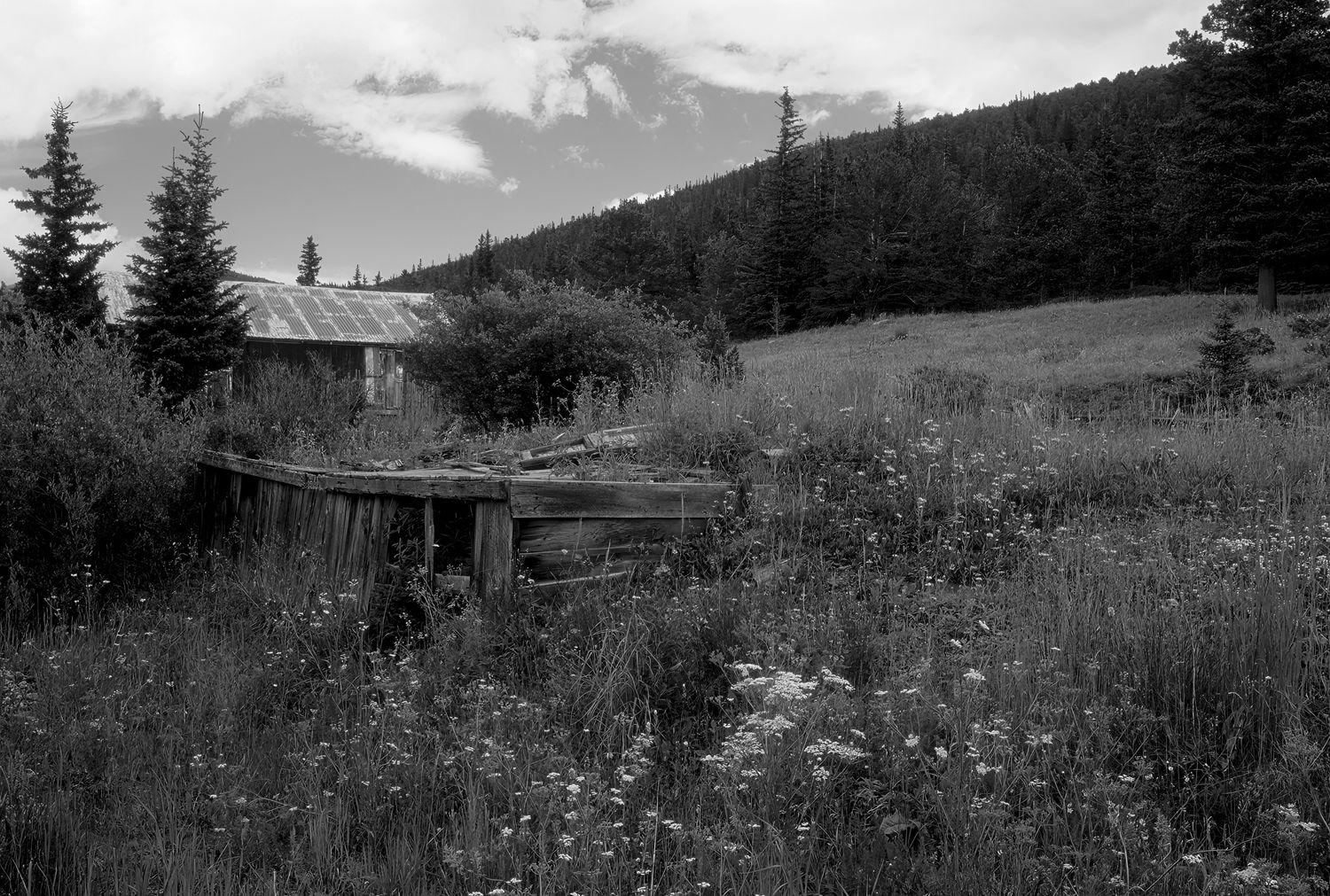 Alice, Colorado