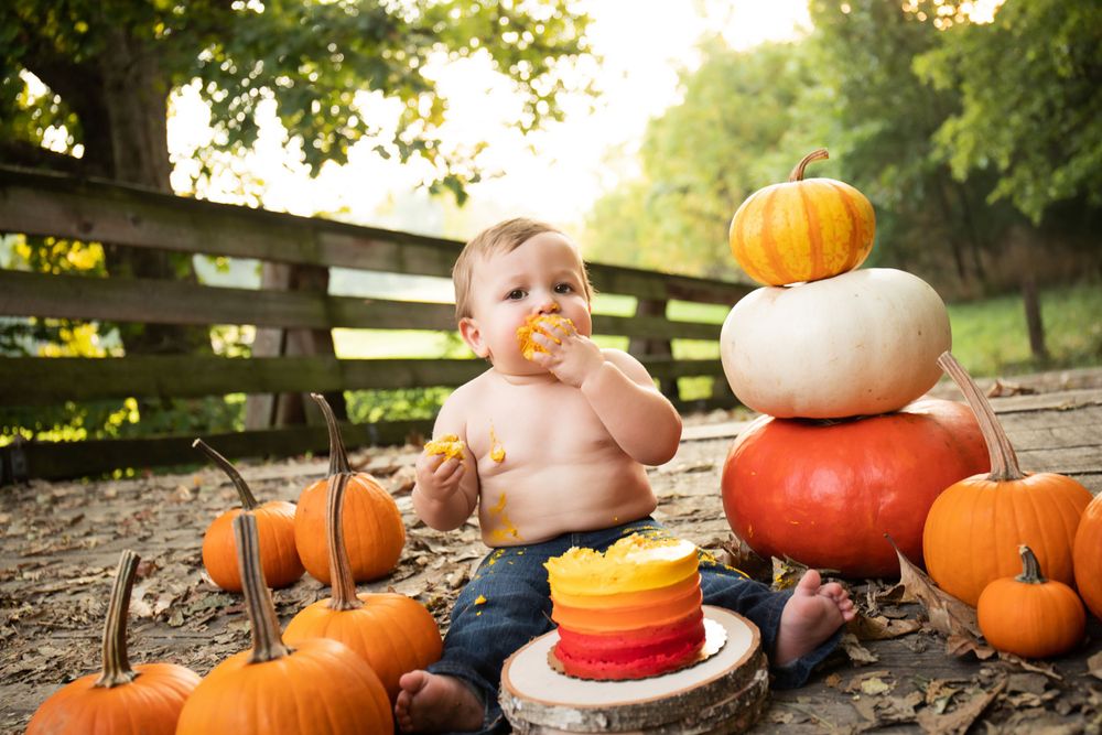 Small child in blue jeans sits among orange pumpkins and a colorful cake during an autumn photo session.