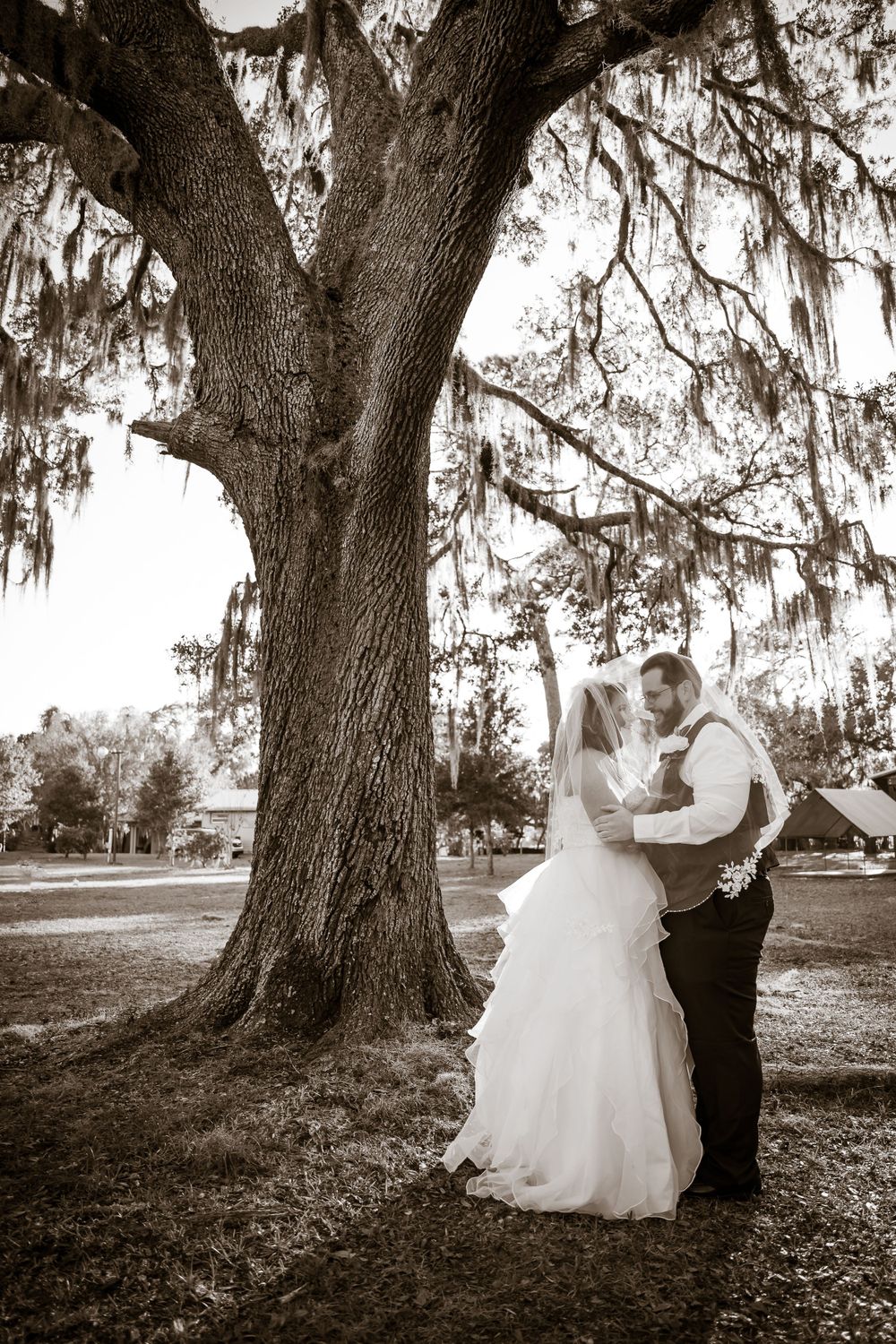 Romantic black and white wedding portraits taken under moss-draped oak trees.