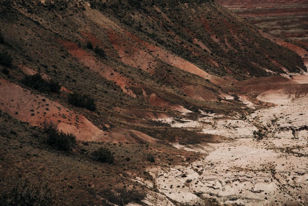 Dramatic aerial view of red desert canyon with winding riverbed below.