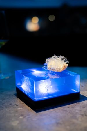 A piece of white food floats above a glowing blue illuminated base creating a dramatic presentation at night.