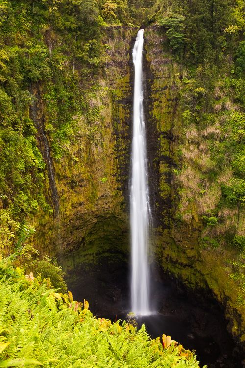 Akaka Falls in Big Island Hawaii