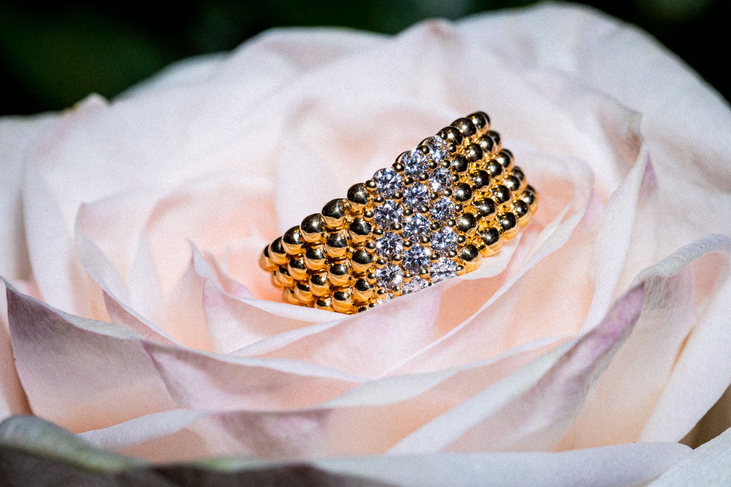 A sparkly crystal heart pendant on a leopard print band rests delicately in the petals of a soft pink rose.