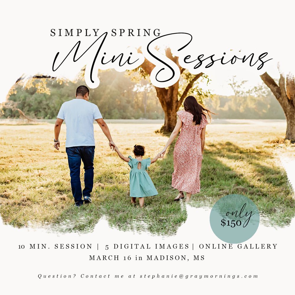 Photography mini session advertisement featuring family silhouettes in a sunny field at golden hour.