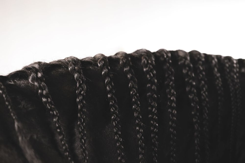 Close-up detail of braided black horse mane showing intricate plaiting pattern.