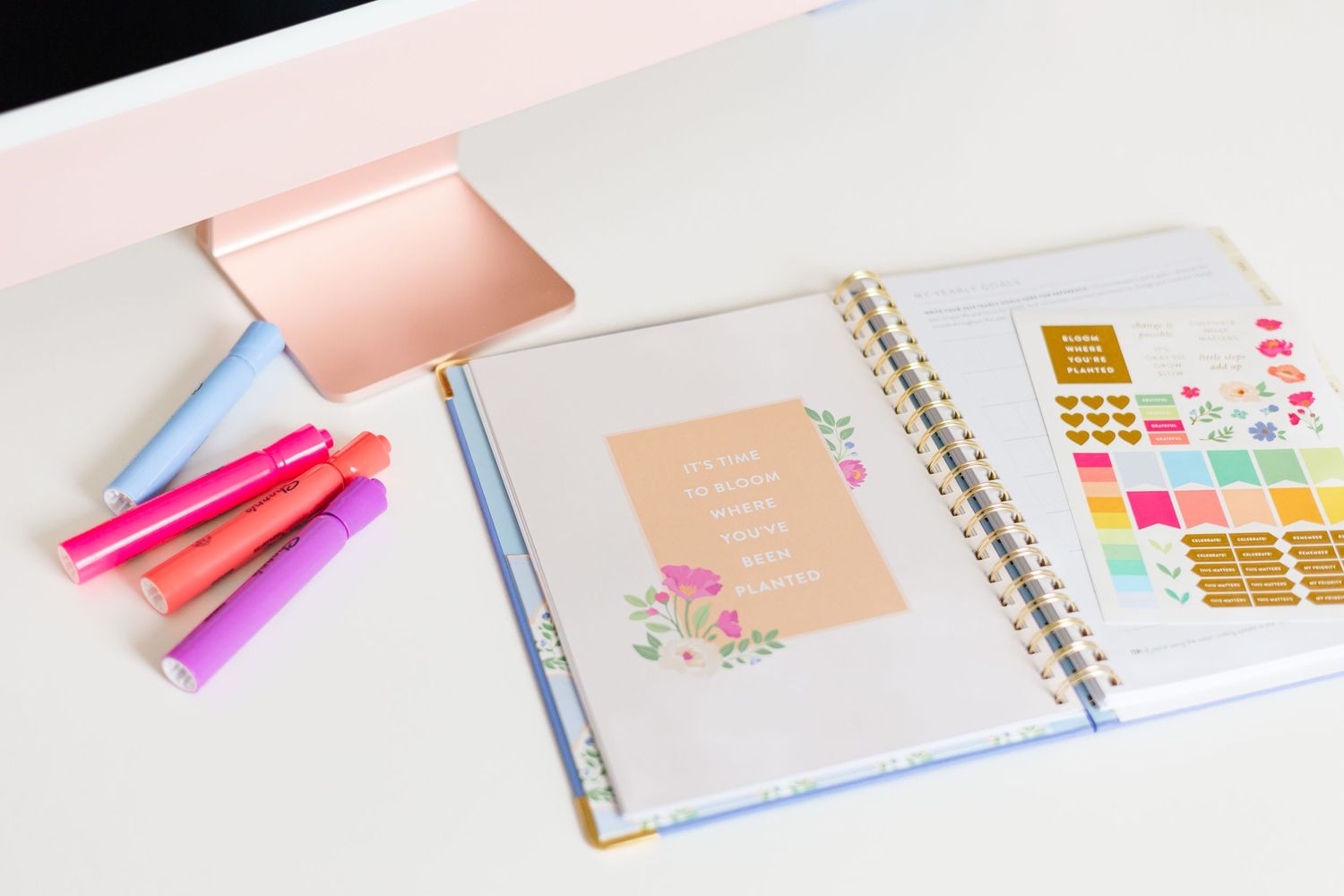 Home Desiree Hayes Photography