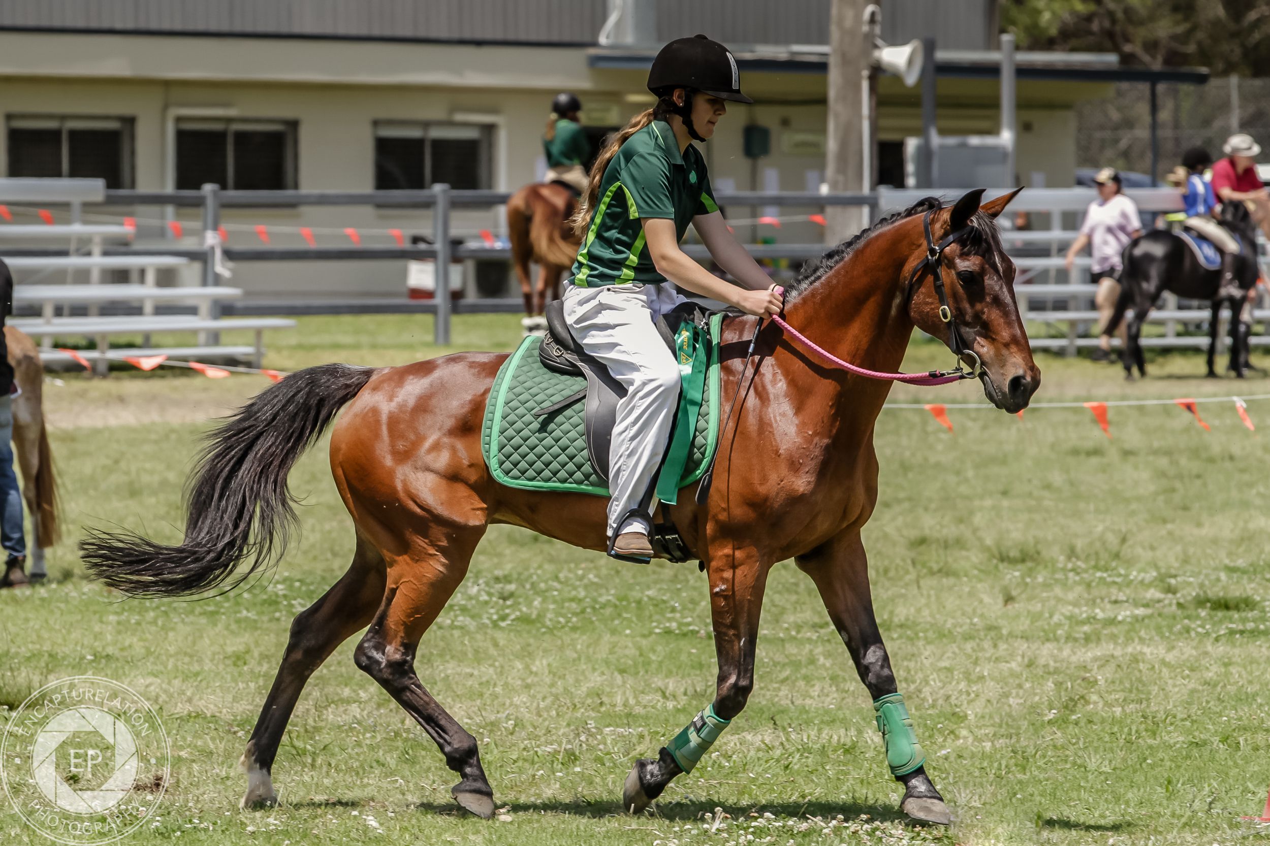 A rider guides a bay horse during an equestrian competition.