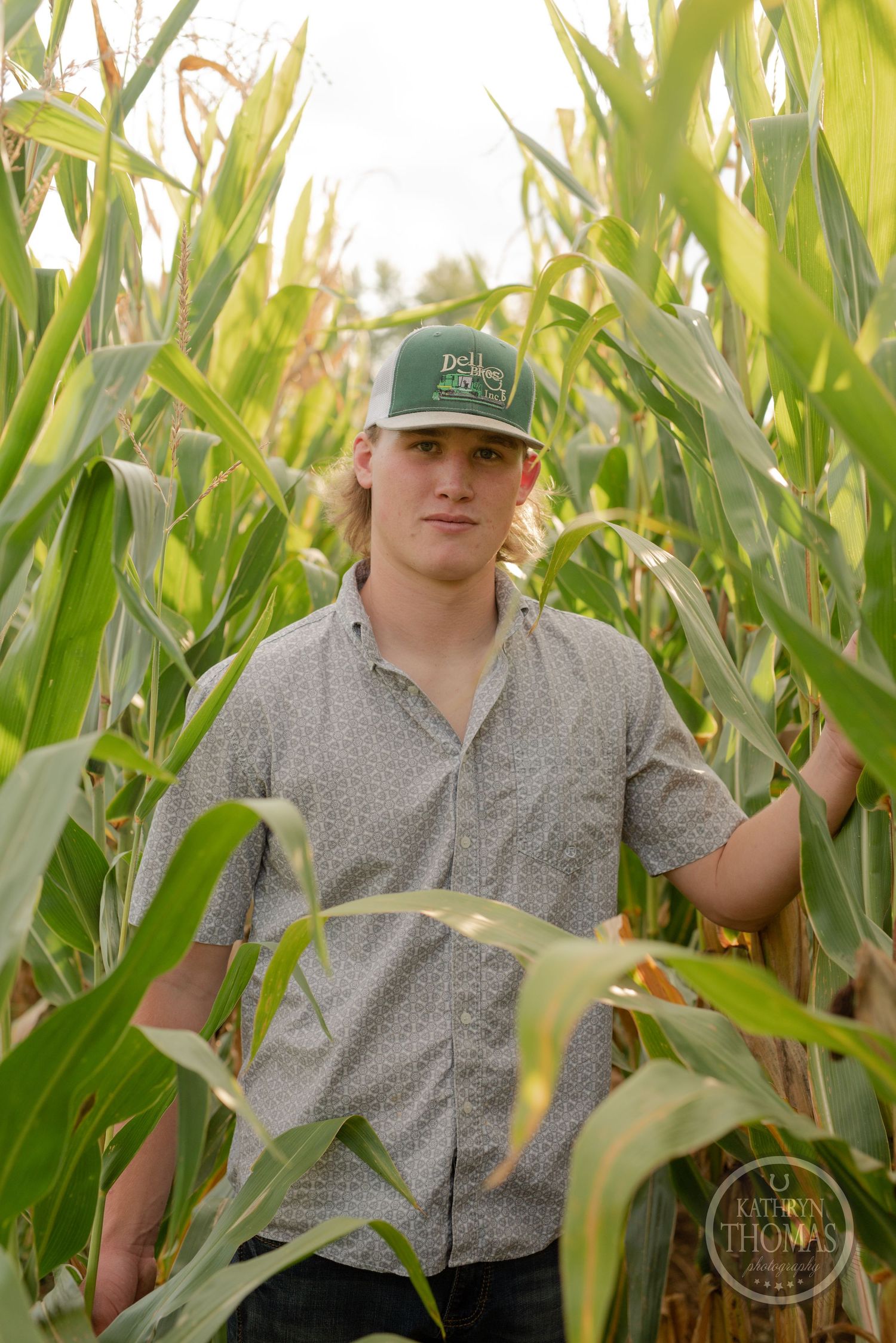 Summer agricultural scene with tall corn stalks framing grain storage facilities.