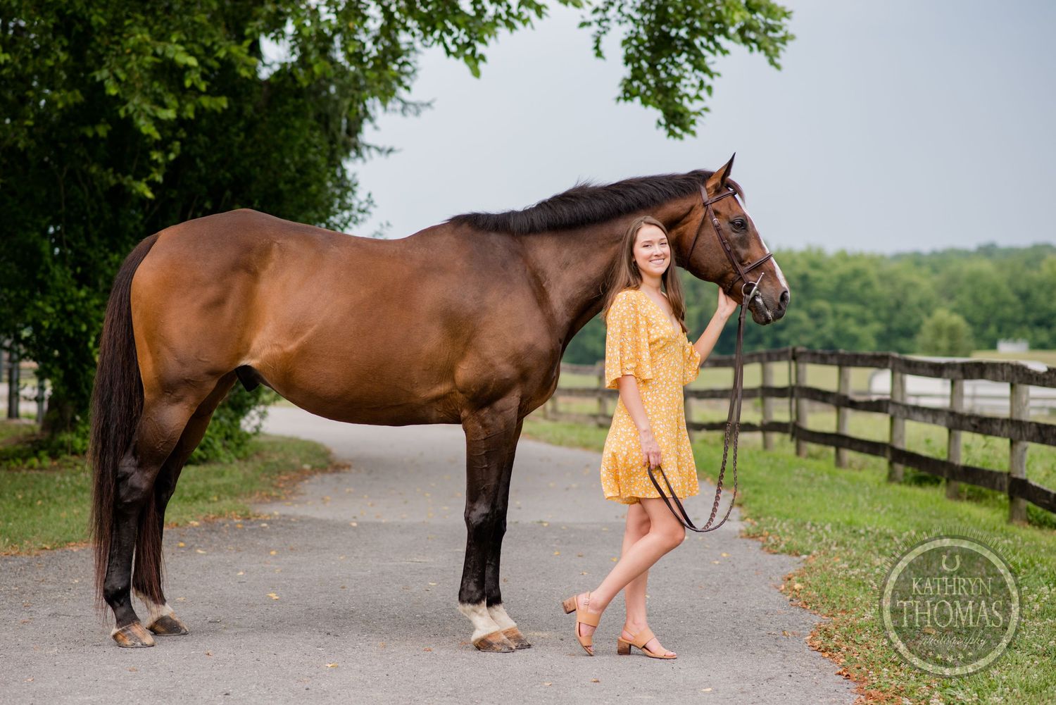 A bay horse and person in yellow dress stand together on a path with fencing in background.