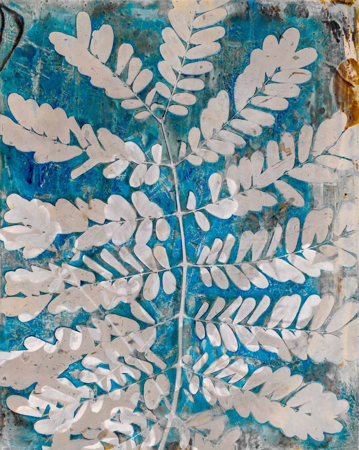 An example of the ephemeral nature of cyanolumens transforming over time during exposure to light Logan C Thomas artist