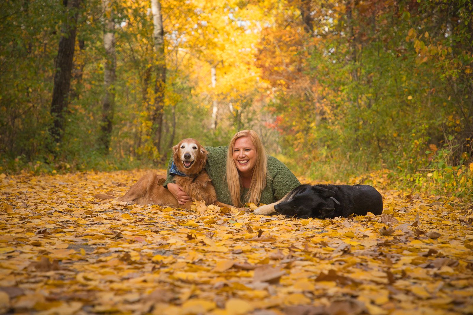fall portrait laying in leaves with dogs