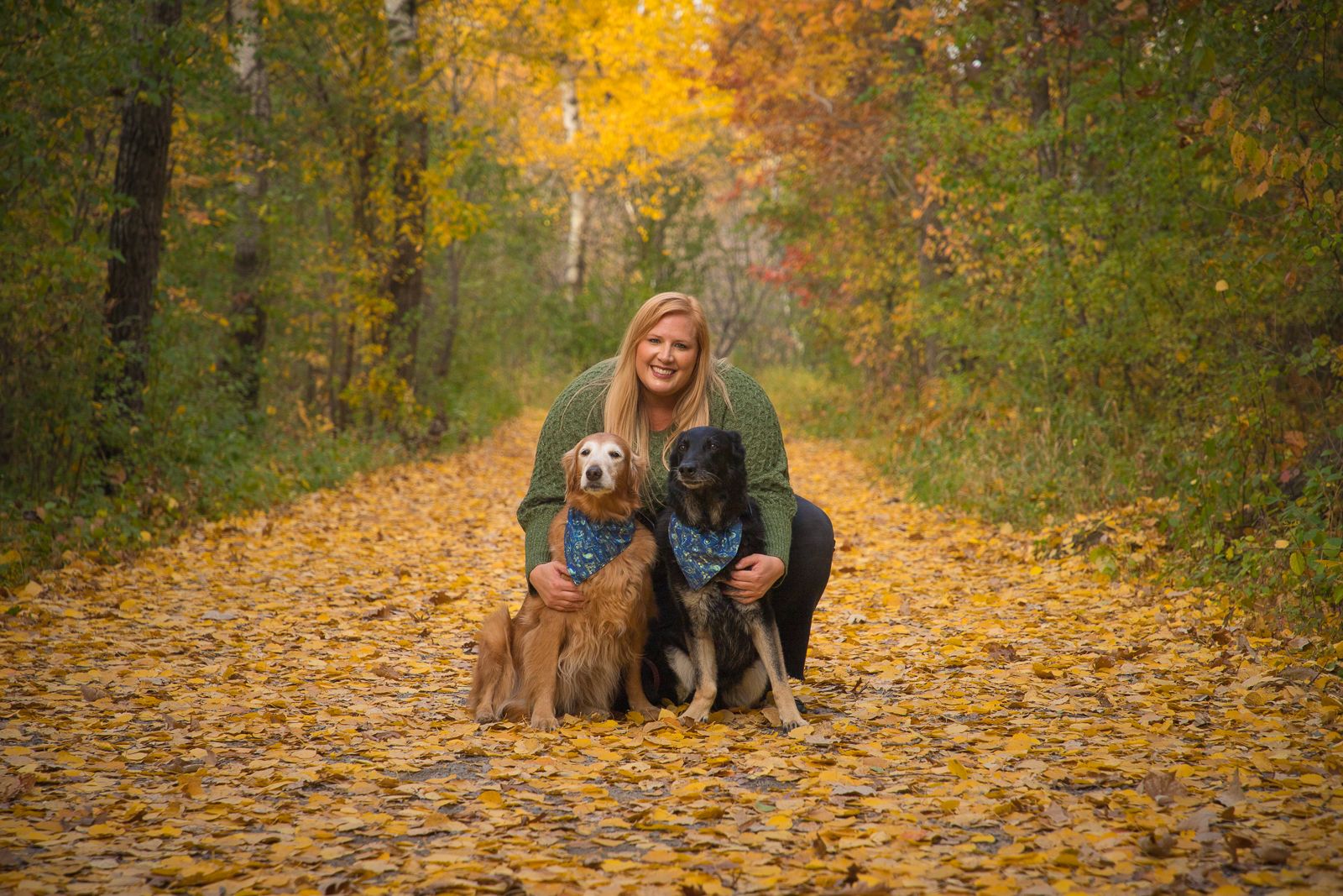 fall portrait in leaves with dogs, german shepherd, golden retriever