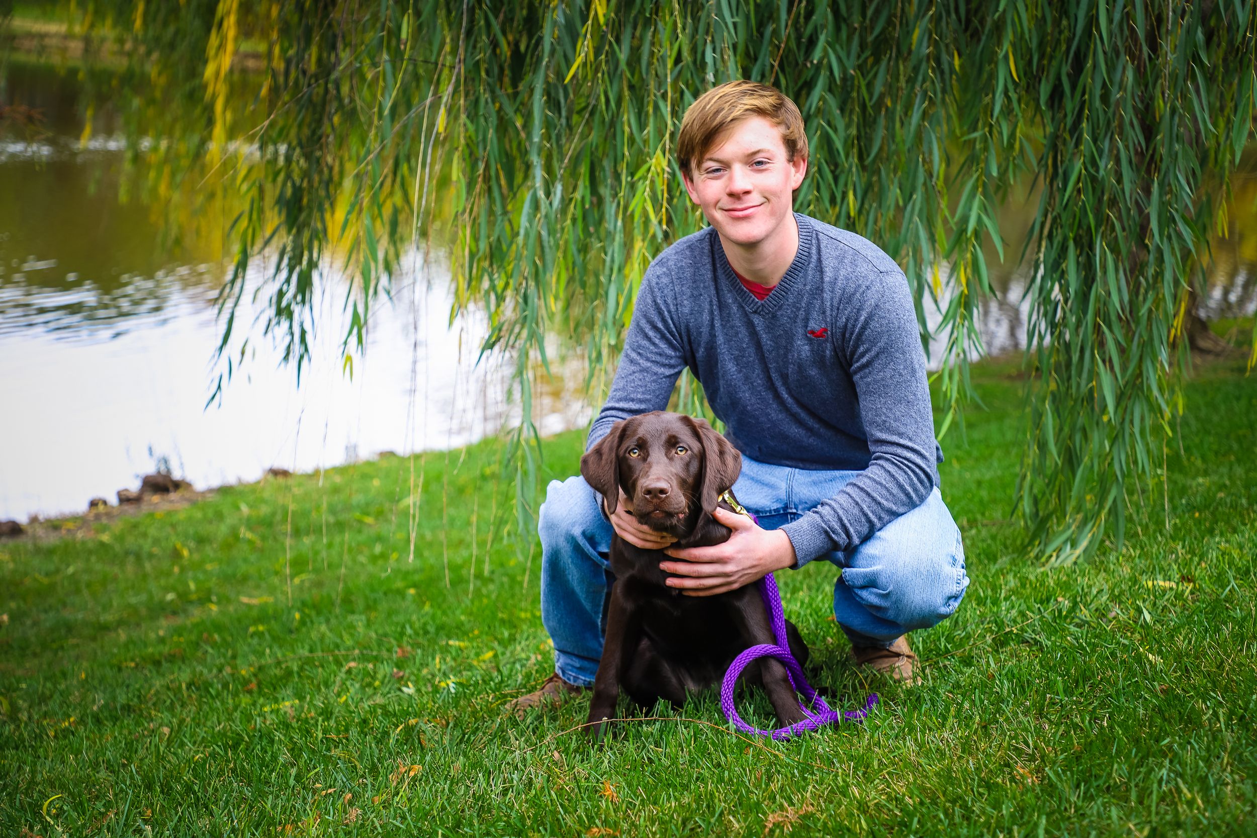 fall portrait with chocolate lab