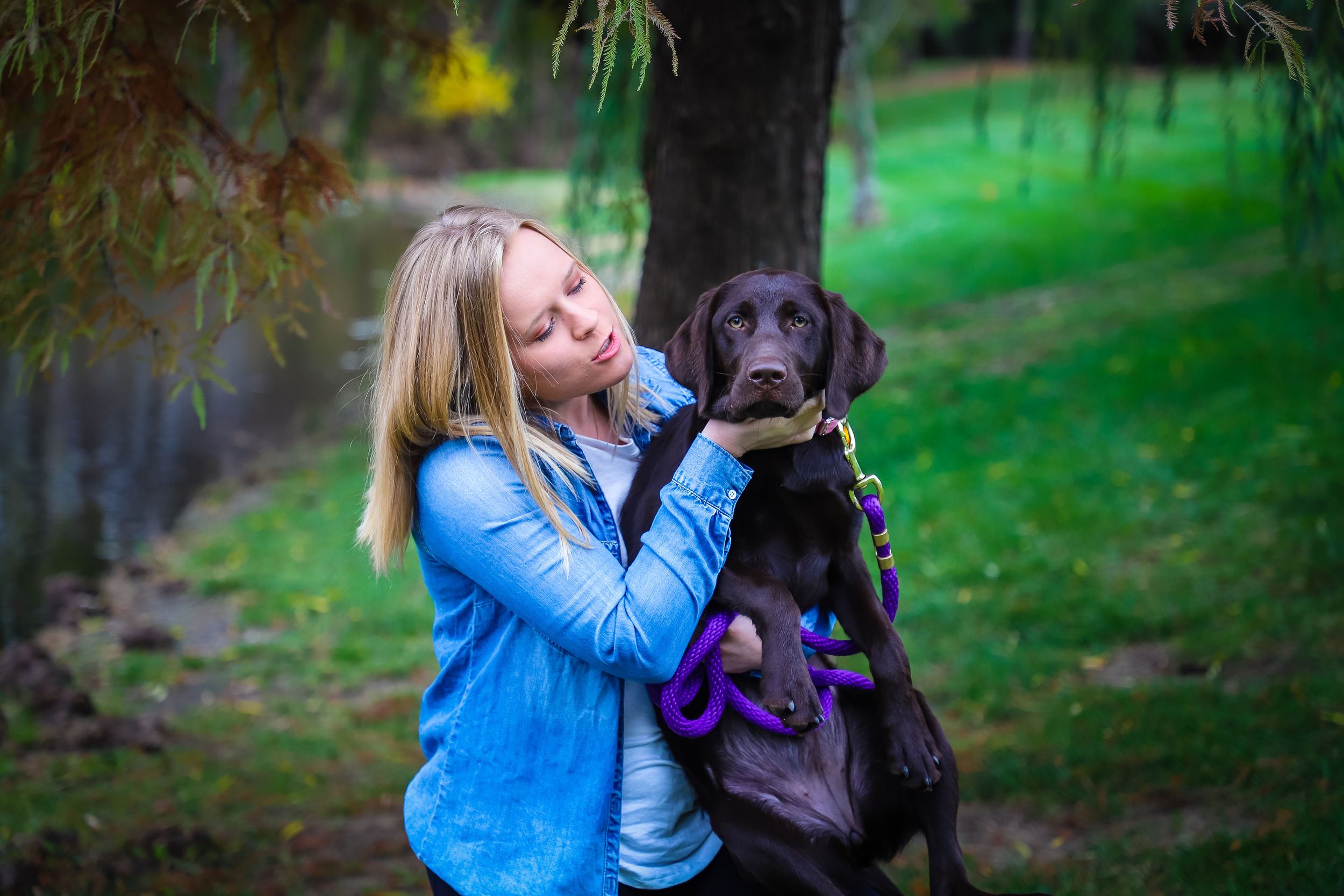 girl with chocolate lab fall portrait