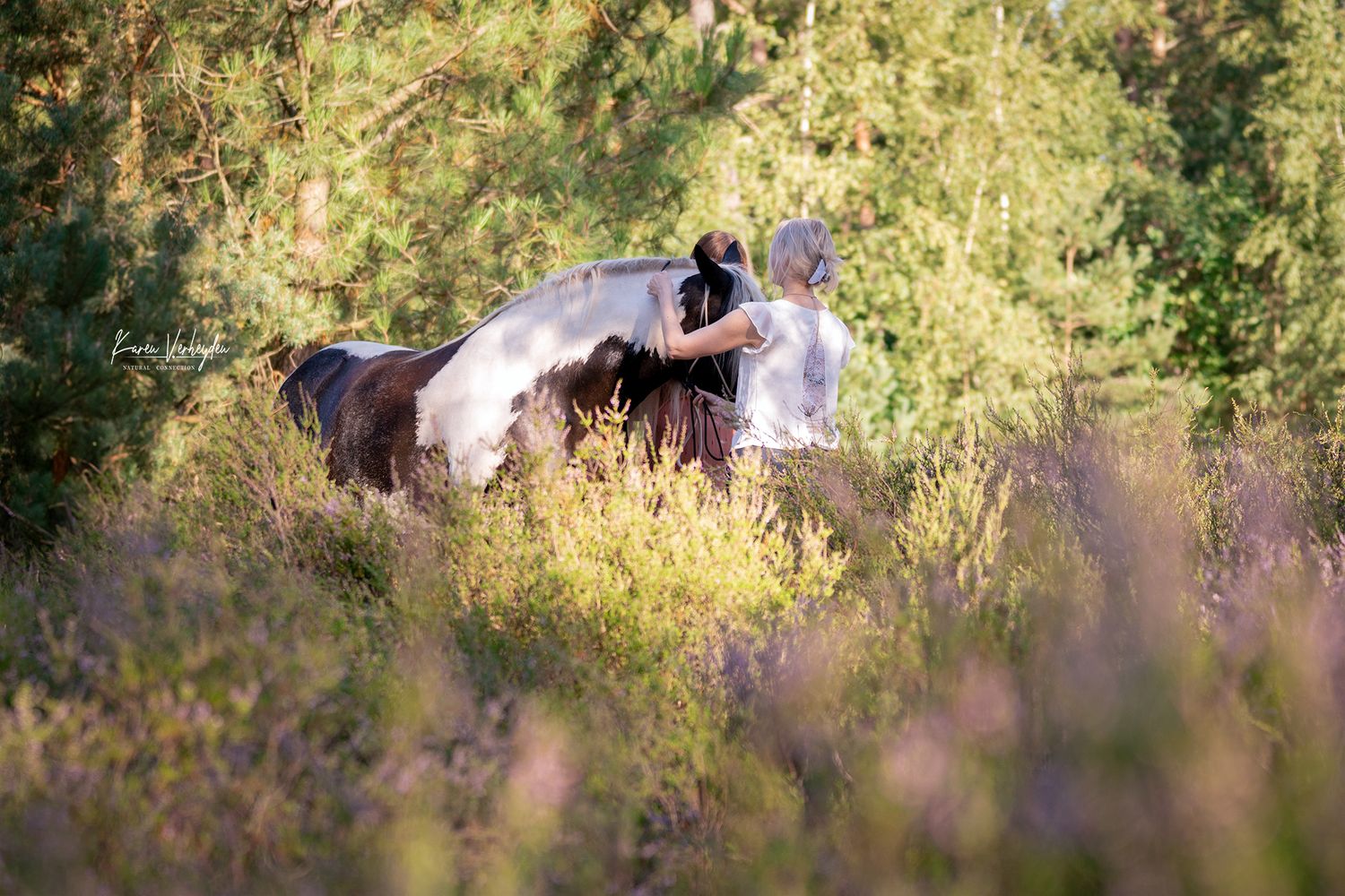behind the scene foto tijdens paardenfotoshoot in de vrije natuur werkwijze in de paarse heide