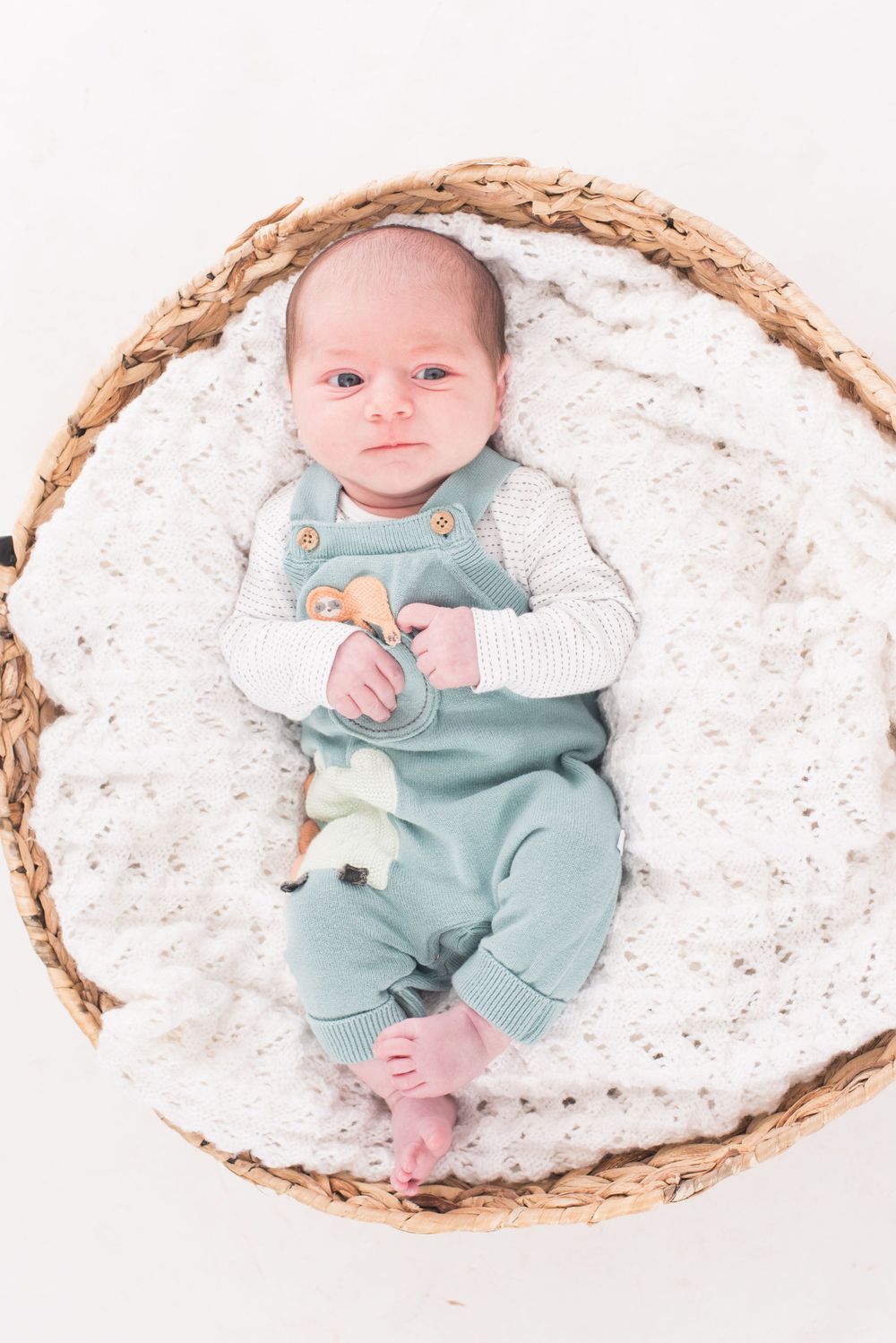 Newborn Photography, Plymouth Studio