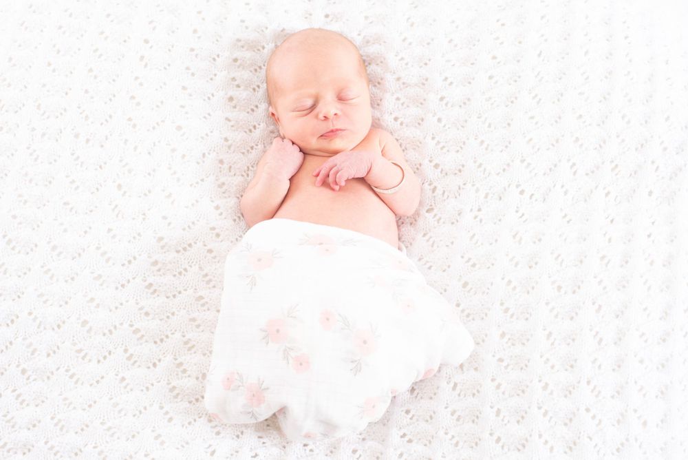 Newborn Photography, Plymouth Studio