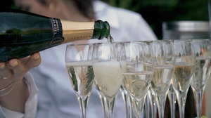 Row of champagne flutes filled with sparkling wine at an elegant reception.