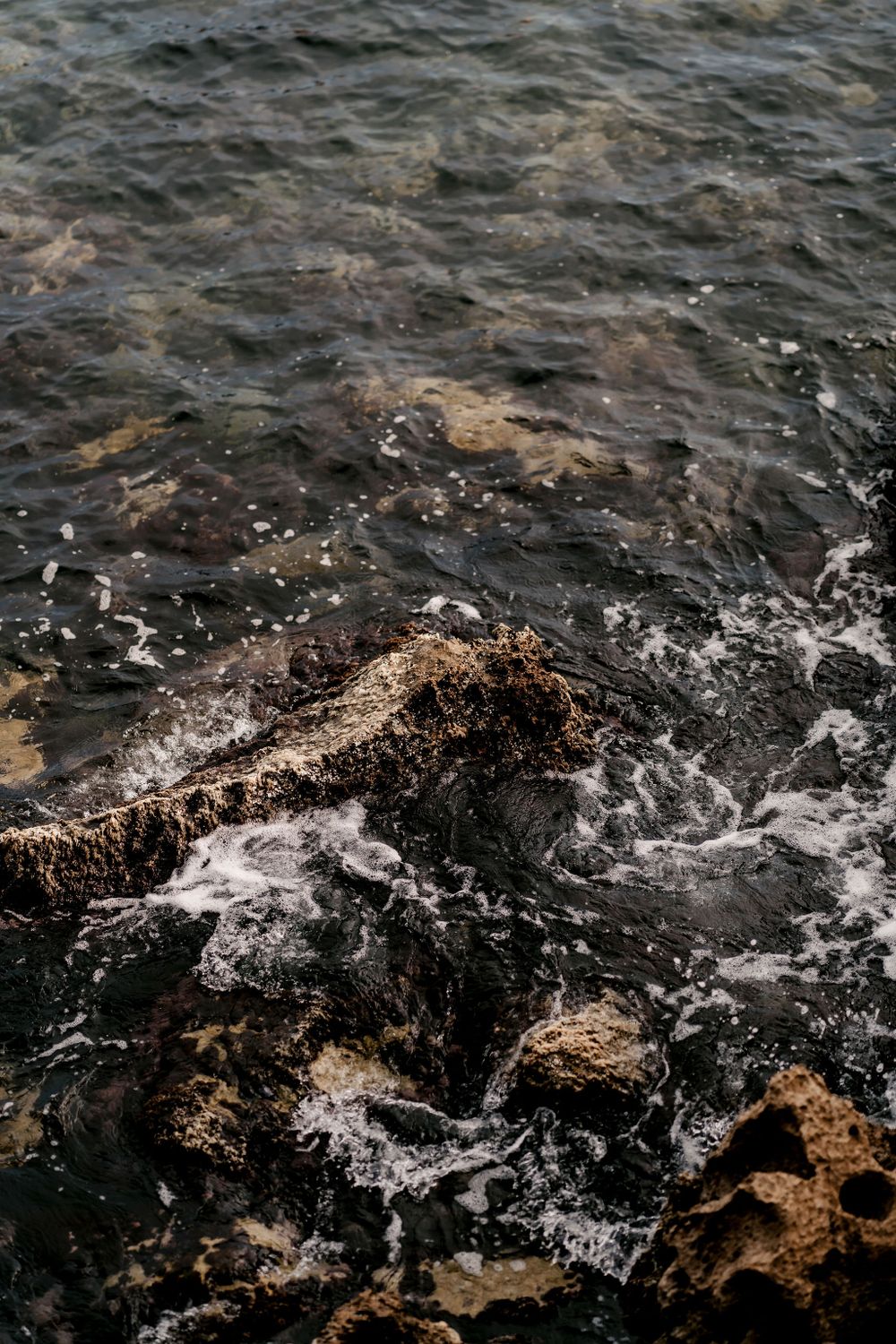 Ocean waves crash against dark rocky shore creating dramatic white water splashes.