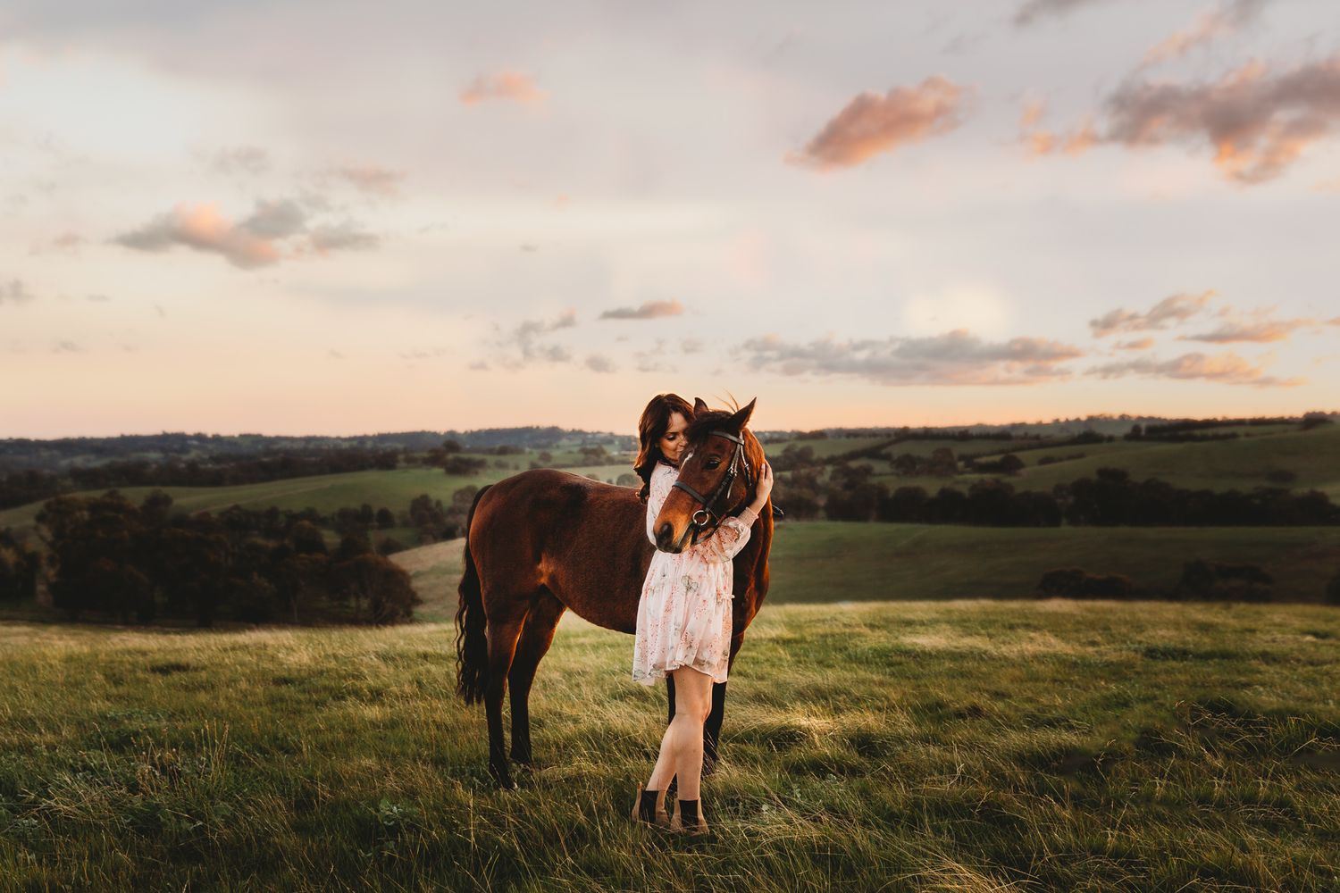 equisoul photography victoria australia melbourne fine art portrait equine equestrian horse photoshoot