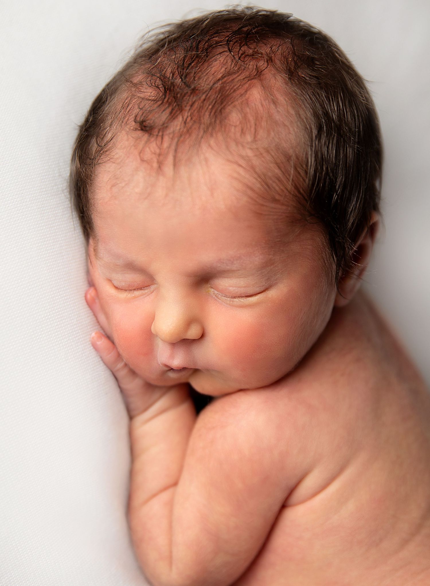 newborn photos